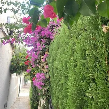 Casas 349h Alkabir